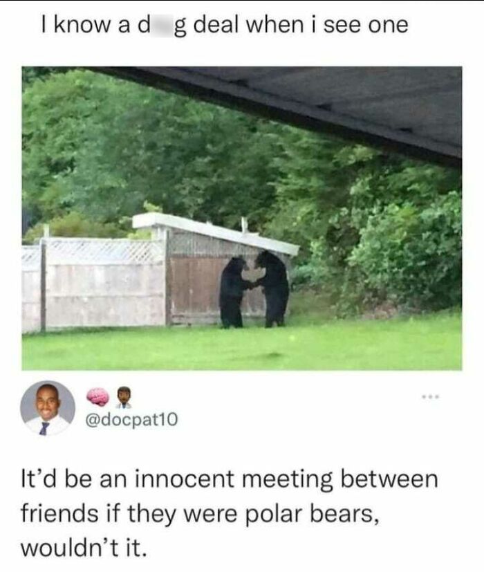 Edgy meme with two black bears and joke about polar bears meeting