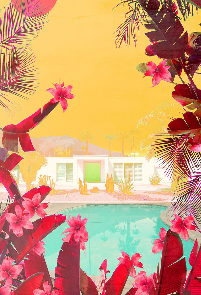 Cactus Hills