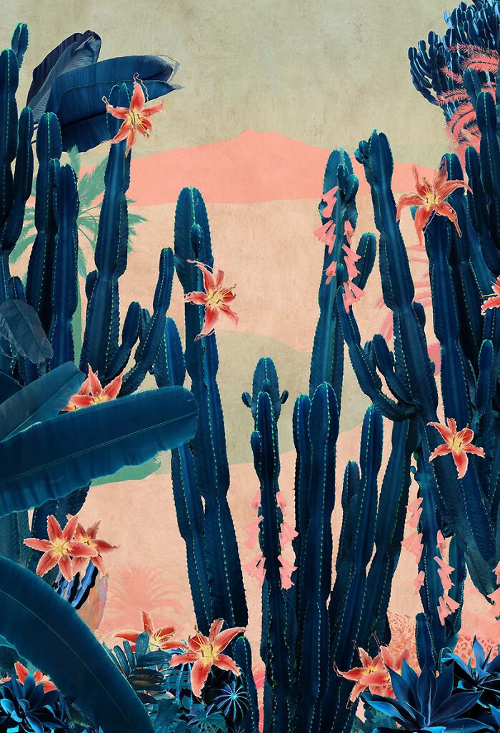 Cactus Taormina