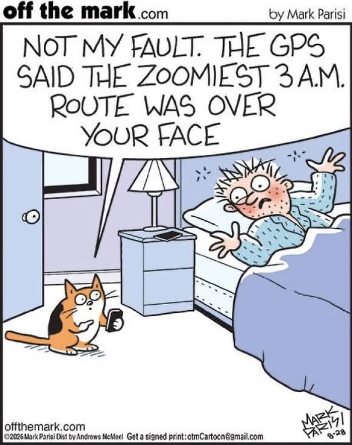 Comic by Mark Parisi showing a cat telling its owner that the 3 AM route is across his face.
