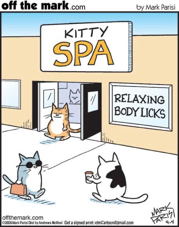 A comic by Mark Parisi showing cats walking into a Kitty Spa for body licks.