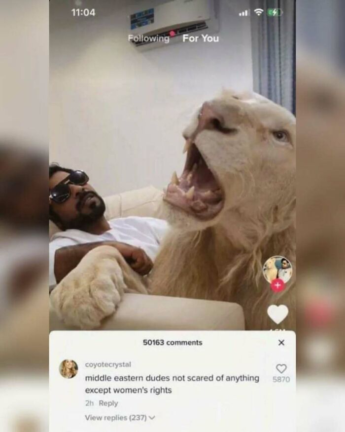 A perfect reply on TikTok shows a man and a lion, with a comment about men fearing women's rights.