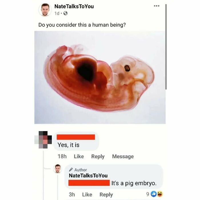 A perfect reply on Facebook to a post asking if a pig embryo is human, revealing the true nature.