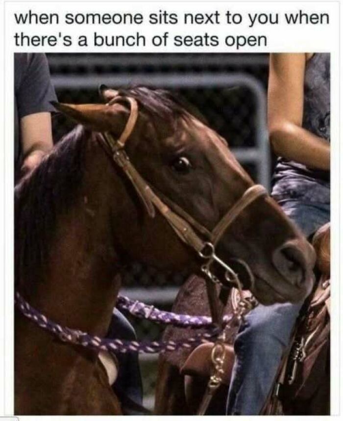 A horse with wide eyes showing relatable memes for introverts when someone sits nearby