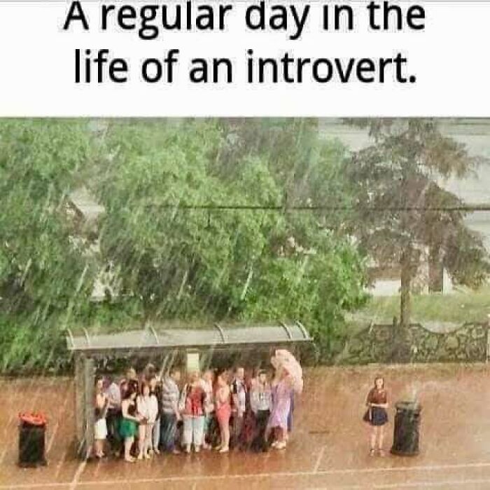 A humorous meme for introverts showing a person standing alone in heavy rain next to a crowded bus shelter