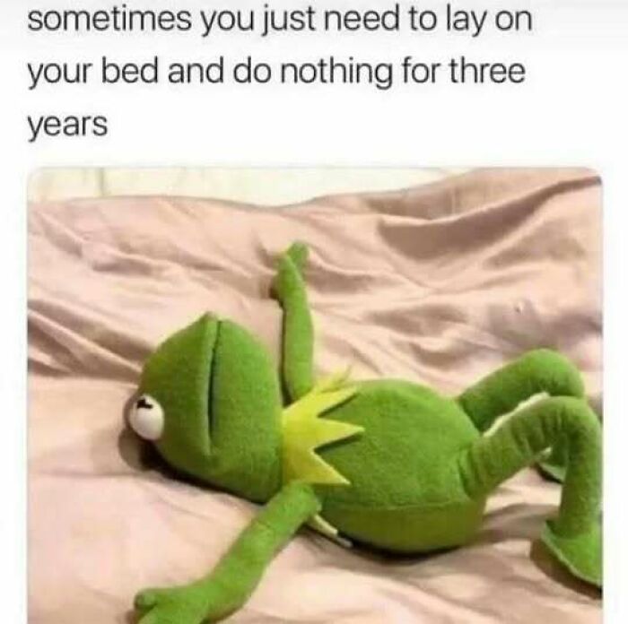 A meme with Kermit the Frog lying on a bed, expressing relatable memes for introverts who want to do nothing.