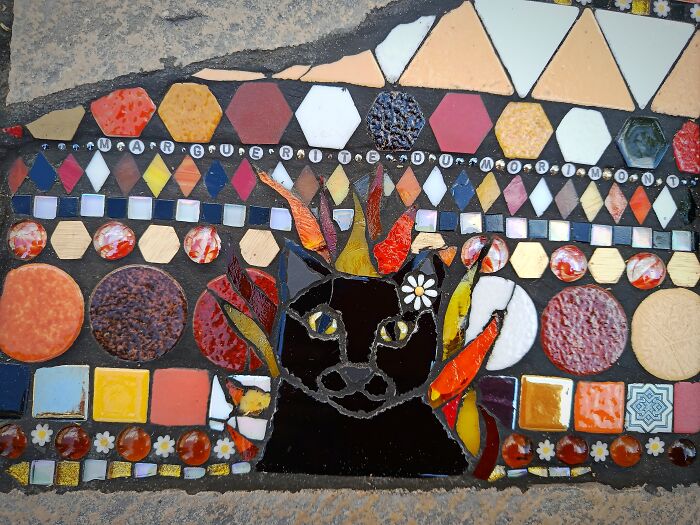 Chat Sorcière Zola
