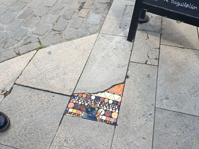 Chat Sorcière Zola