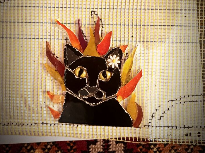 Chat Sorcière Zola