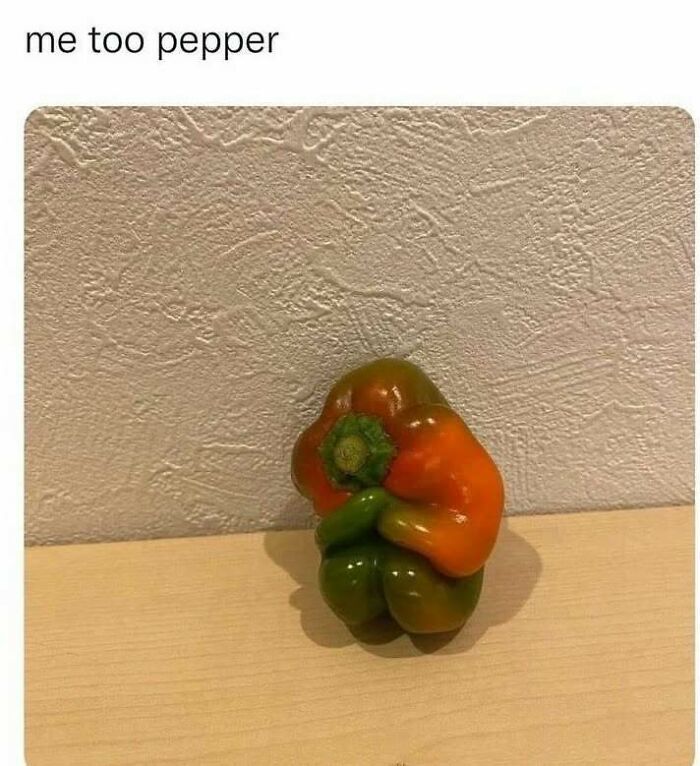 An introverts meme featuring a bell pepper huddled up in a corner, looking like it wants no human contact.