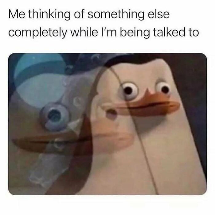 A penguin staring blankly, capturing relatable memes for introverts when zoning out.