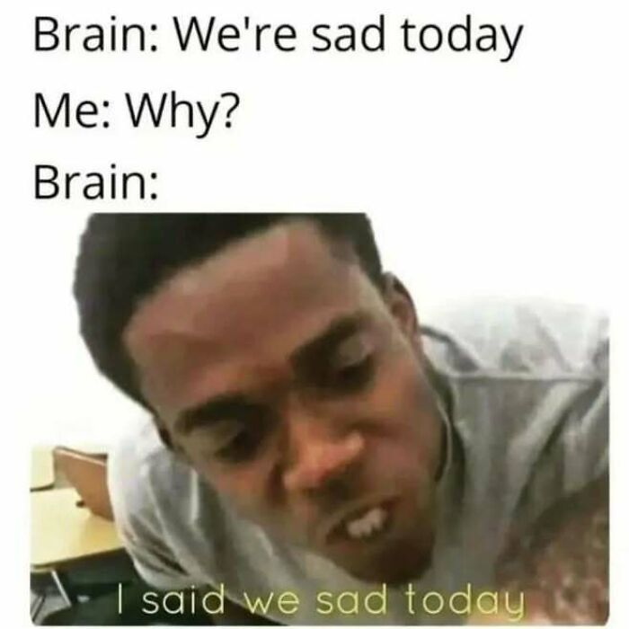 Relatable memes for introverts showing a brain insisting on being sad today.