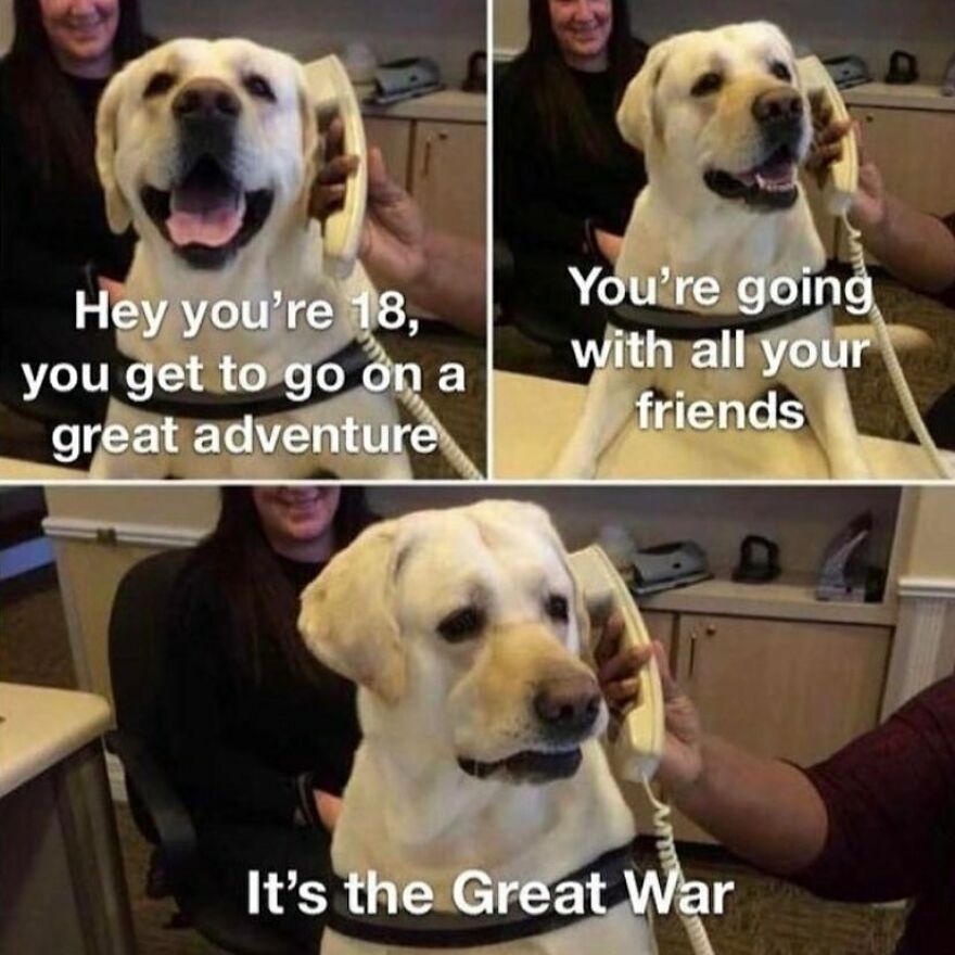 Three-panel dog on the phone meme about being drafted into the Great War, showing funny history memes.