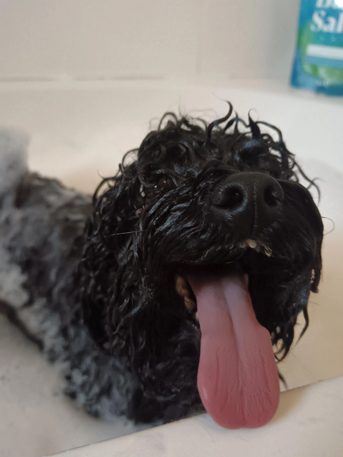 Cute-Dog-Bath-Pictures