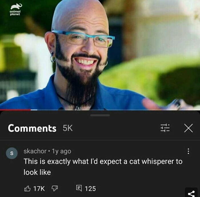 A YouTube comment of someone finding gold after scrolling down to the comment section about a man who looks like a cat whisperer.