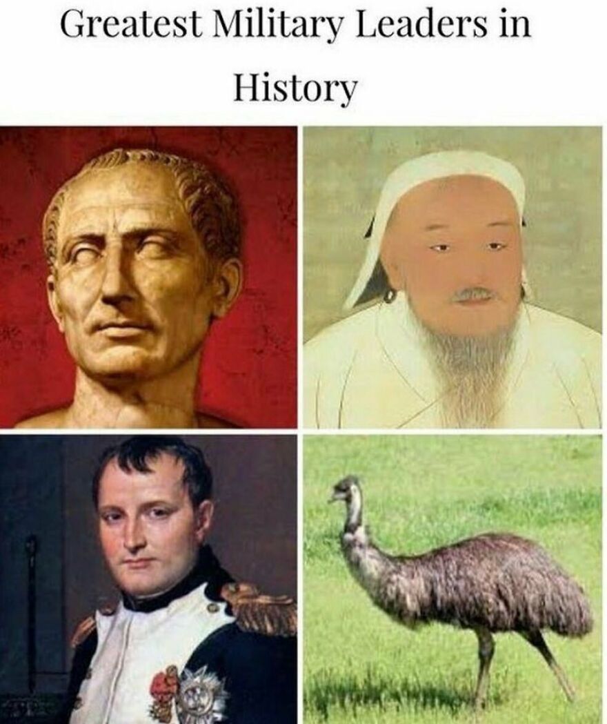A history meme showing the greatest military leaders including Julius Caesar, Genghis Khan, Napoleon, and an emu.