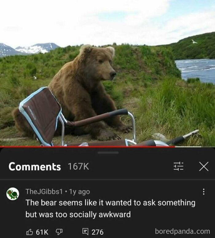 A bear sitting next to a broken stroller, with a YouTube comment finding gold about its social awkwardness.