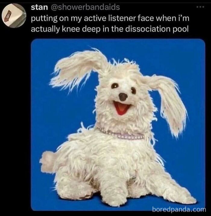 Funny meme with a fluffy dog toy representing an active listener face amidst dissociation, perfect for sarcasm.