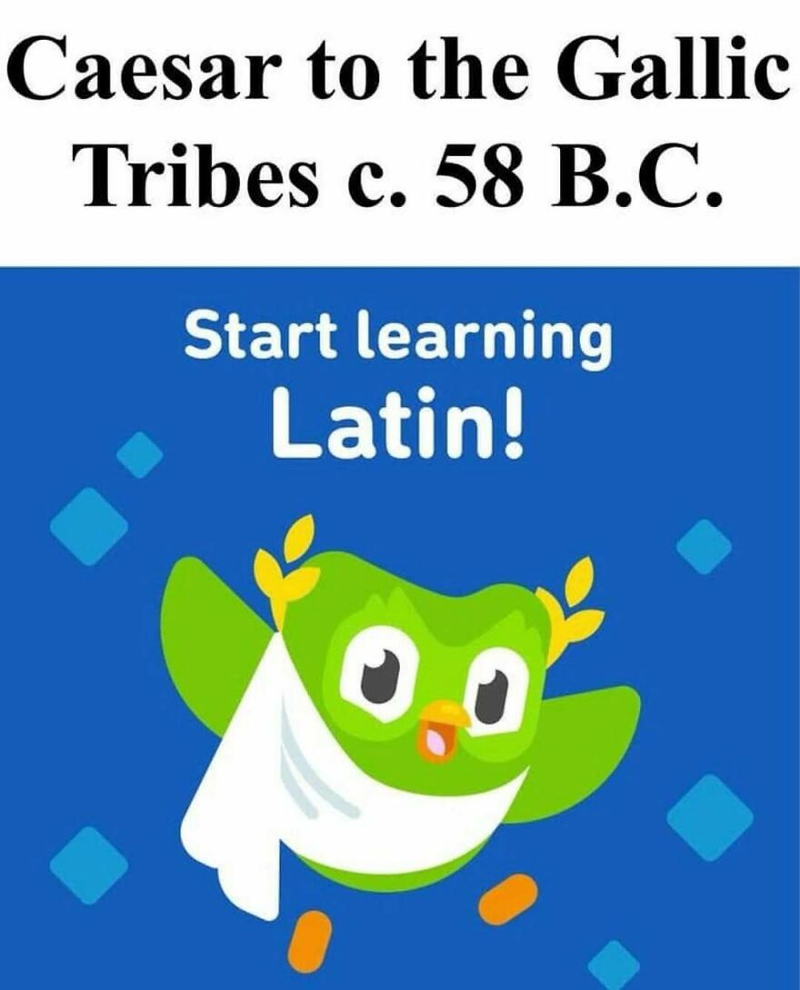 A Duolingo owl dressed as Julius Caesar, part of a collection of history memes