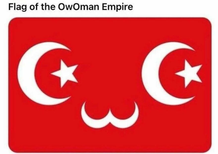 A stylized red flag with crescent moons and stars in the shape of a cute face representing history memes.