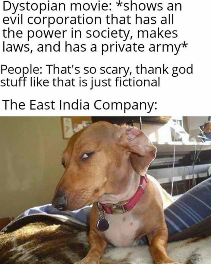 History meme comparing East India Company to dystopian evil corporation with photo of skeptical dog