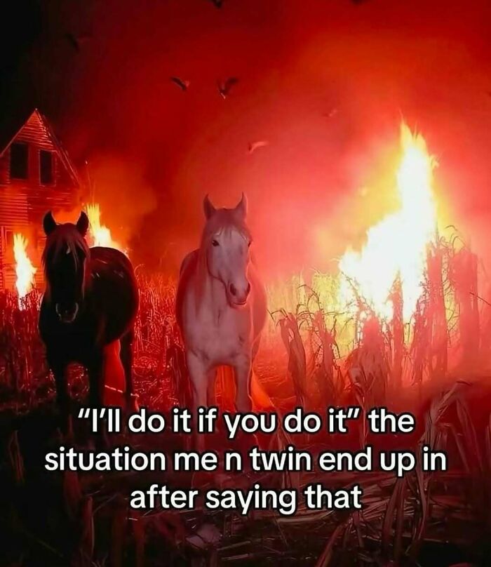 A funny meme with two horses in front of a burning field, representing a situation after saying 'I'll do it if you do it'.