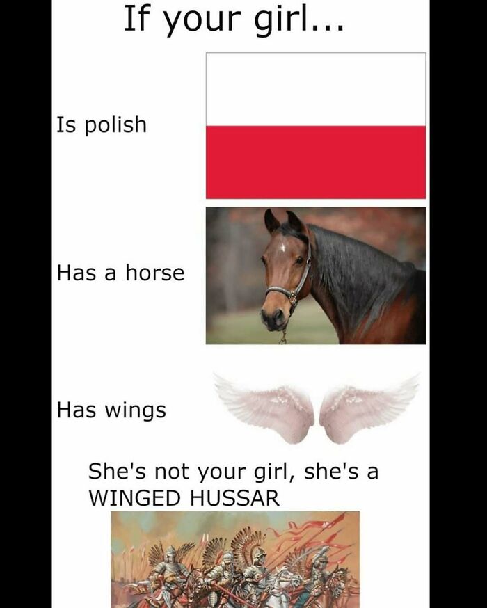 Polish flag meme about a girl with horse and wings as winged hussar
