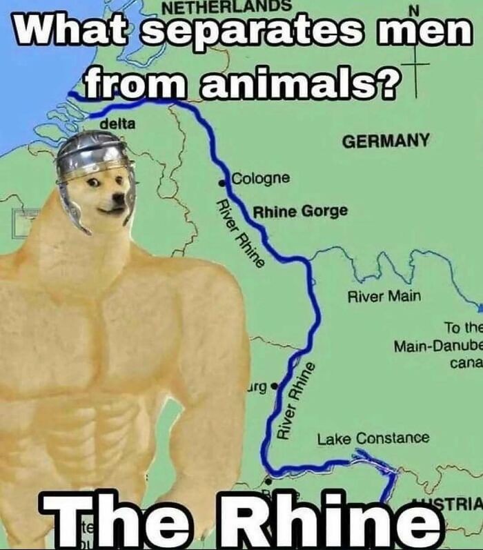 Historical meme with muscular doge saying the Rhine separates men from animals