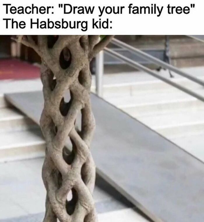 History meme about Habsburg family tree showing complex intertwined tree trunk