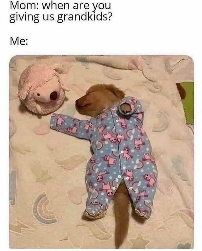 A cute puppy in blue pajamas sleeping next to a stuffed animal, an adorable dog meme.