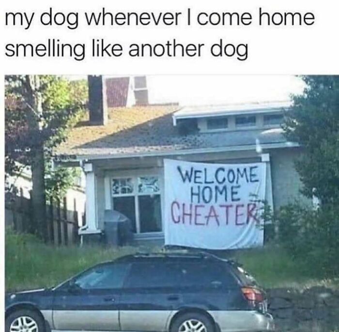 A funny house with a 'WELCOME HOME CHEATER' banner, representing hilariously adorable dogs acting jealous when their owners smell like other dogs, turned into memes.