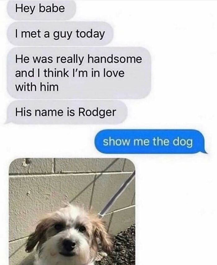 Hilariously adorable dog meme where a person says I met a guy, and the other person replies show me the dog.