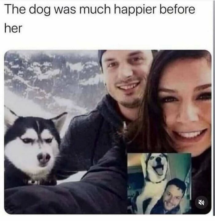 Hilariously adorable dog meme of a husky dog looking unhappy next to a couple, with an inset of the dog looking happy with just the man.