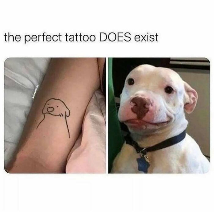 A hilariously adorable dog's smiling face next to a minimalist tattoo of a dog that perfectly captures its expression, turned into memes.