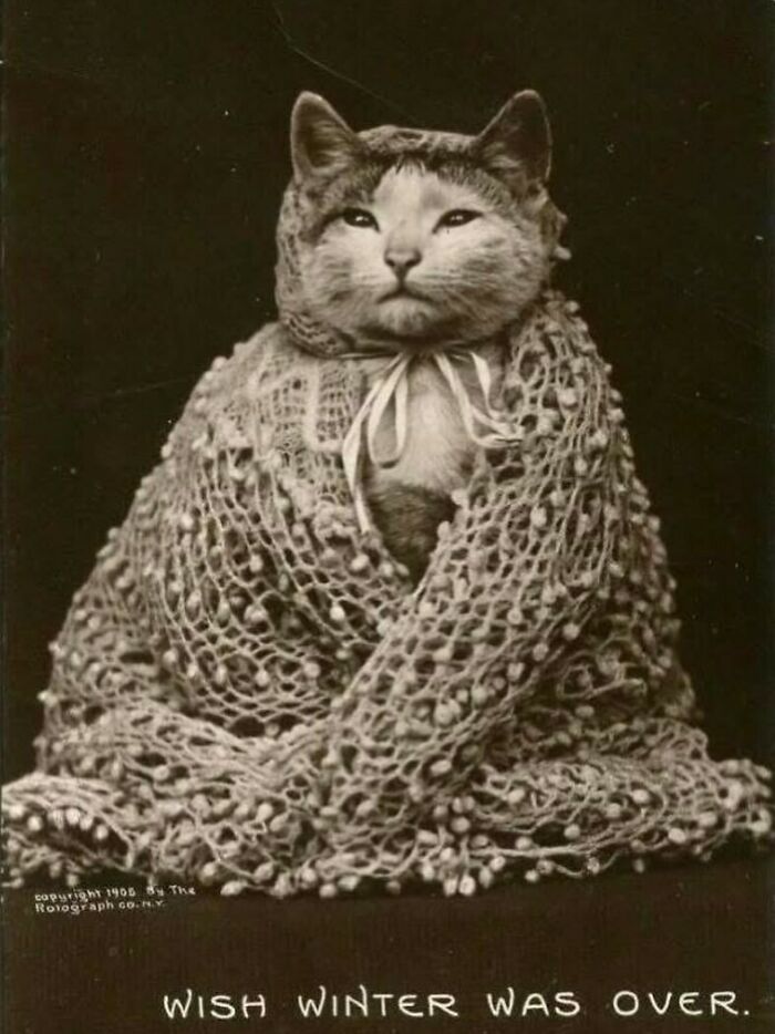 Victorianchaps-Interesting-Old-Victorian-Photos