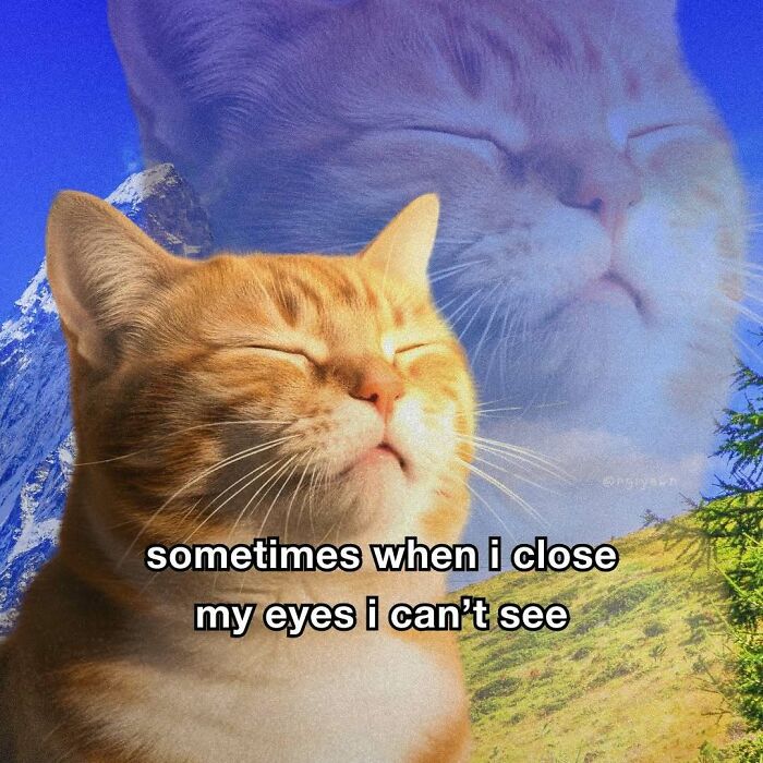 Relatable cat meme with orange cat and closing eyes text with mountain background