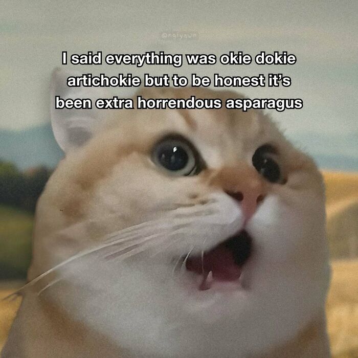 Humorous cat meme with quirky rhyming about a rough day