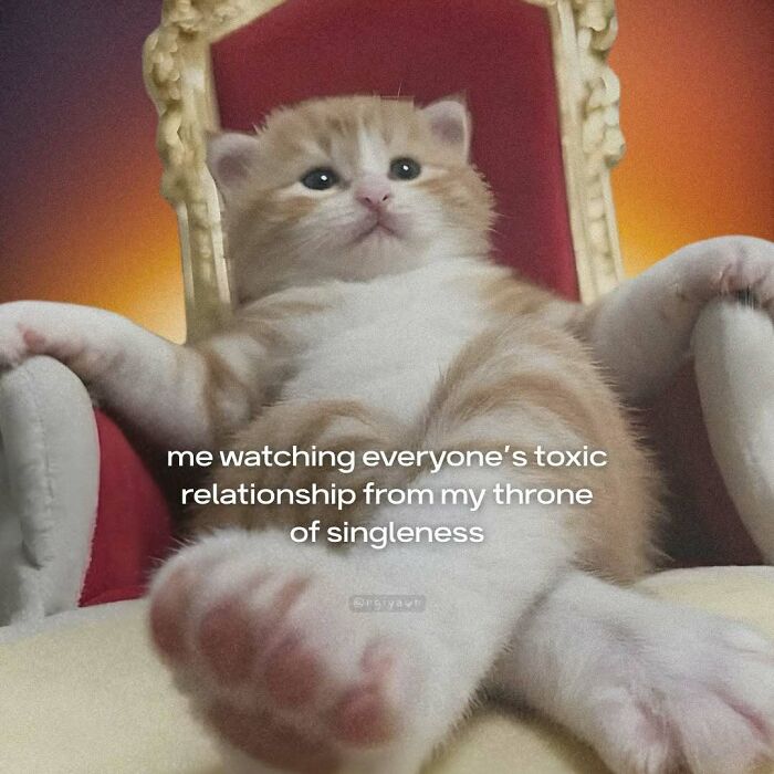 Relatable cat meme of kitten on throne with toxic relationship caption