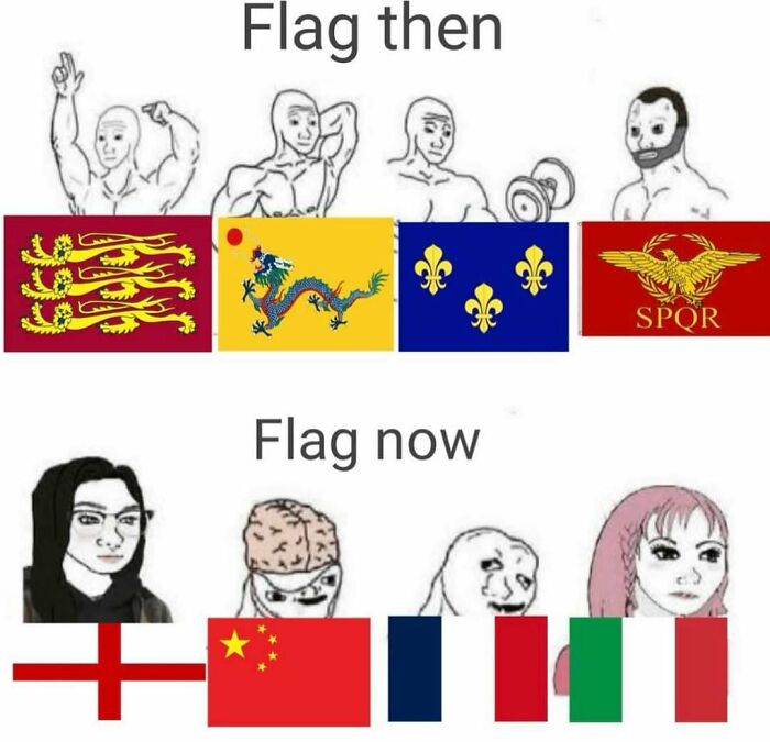 Meme comparing historical and modern flags with illustrated characters representing history memes