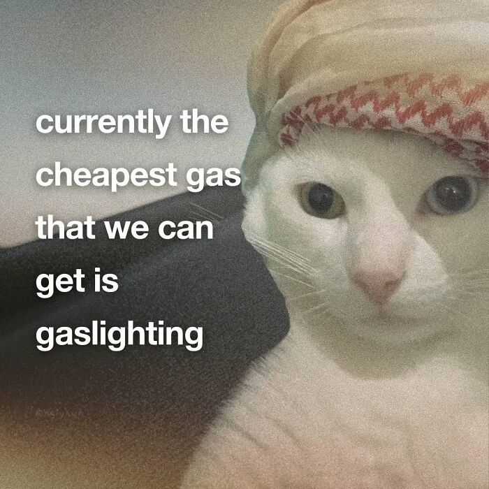 Cat meme about gaslighting as the cheapest gas with cat wearing headscarf