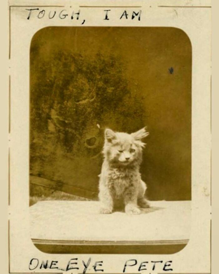 Victorianchaps-Interesting-Old-Victorian-Photos