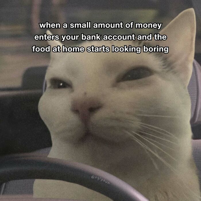 Relatable cat meme about money making home food look boring