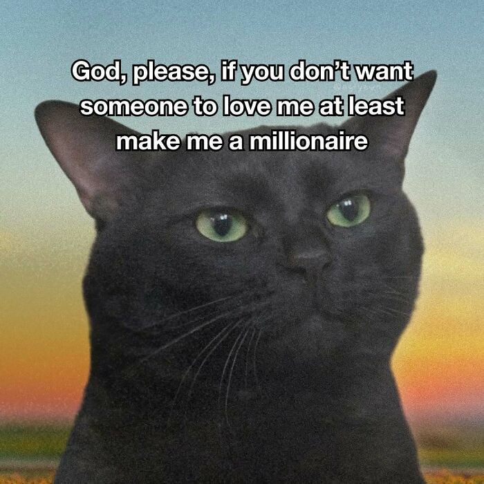 Black cat meme wishing to be a millionaire instead of loved