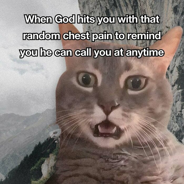 Relatable cat meme about random chest pain as a reminder from God