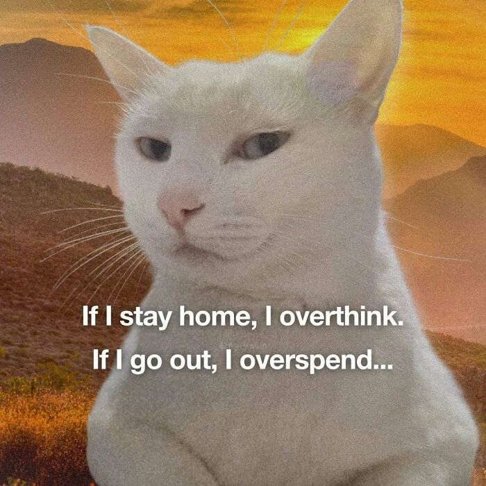 Cat meme on overthinking at home and overspending outside