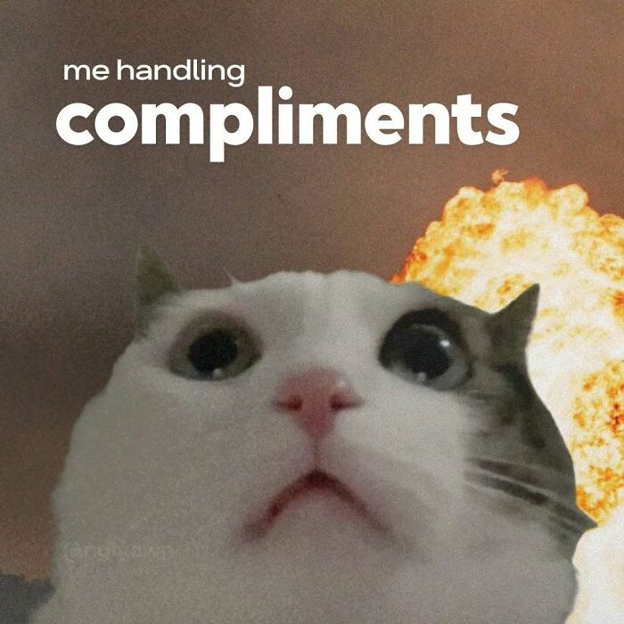 Wide-eyed cat with explosion background about handling compliments relatable cat memes