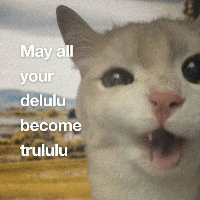Close-up of a cat with text wishing all your delulu become trululu relatable cat memes