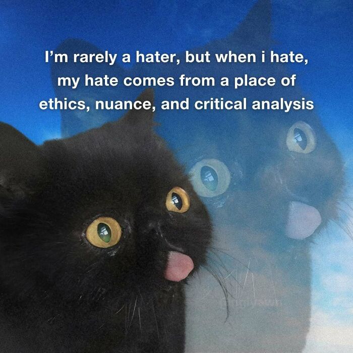 Black cat with tongue out and funny relatable cat meme text about hate and critical analysis