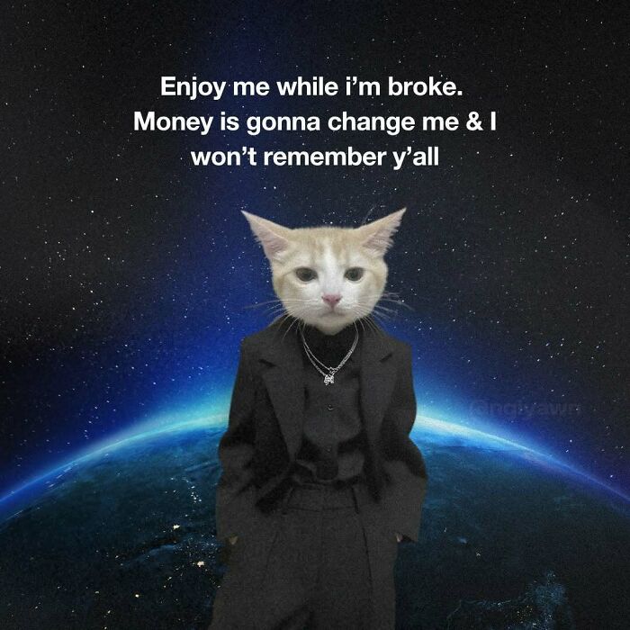 Cat with human clothes and space background about money change relatable cat memes