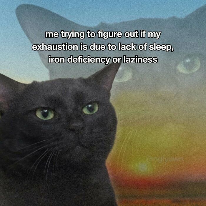 Black cat meme pondering exhaustion causes of sleep iron deficiency or laziness